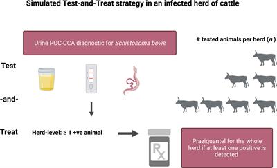 Modelling livestock test-and-treat: A novel One Health strategy to control schistosomiasis and mitigate drug resistance